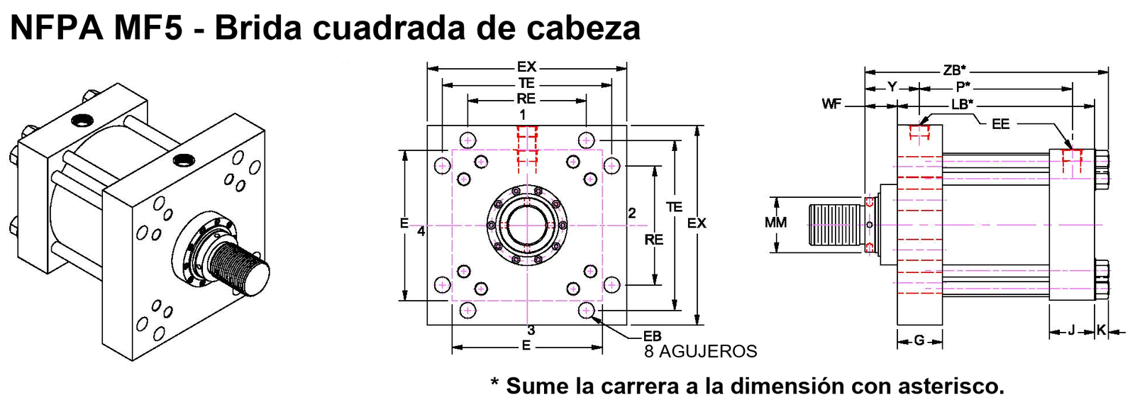 NFPA MF5, brida cuadrada de cabeza