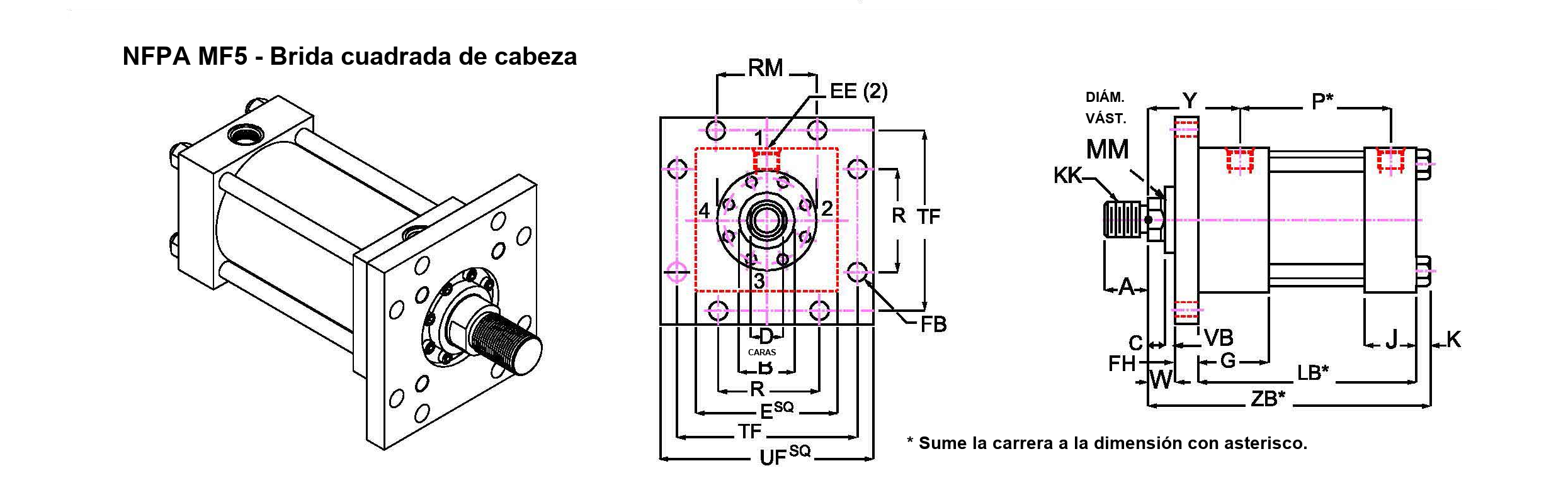 NFPA MF5, brida cuadrada de cabeza